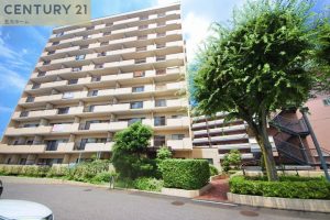 ✩︎⡱物件情報.*新しい暮らしに馴染むリノベーション物件