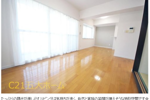 ✩︎⡱物件情報.*グリーンピア松戸　5階部分