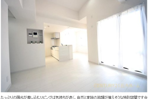 。物件情報*.六高台ベルパティオ1番館 3階部分