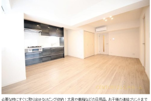 ｡:物件情報❁*ブルーハイツ柏　4階部分