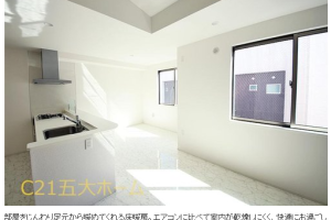 ○。物件情報ﾟ+.コトハウス柏C棟3号室