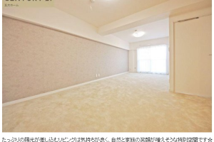 🎀.物件情報+ﾟメイツ柏　7階部分
