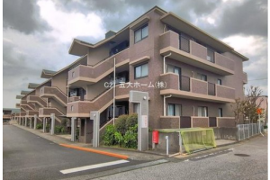 🎀.物件情報+゚新柏ガーデニア東の街一番館
