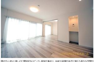 ☆.物件情報+*新松戸ファミールハイツ5号棟
